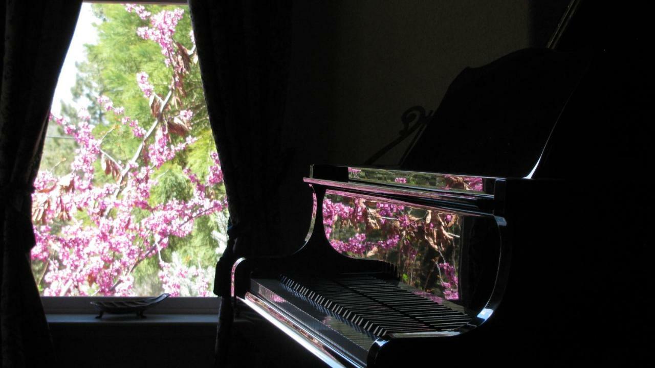 Yosemite Rose Bed And Breakfast Groveland Εξωτερικό φωτογραφία